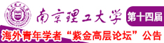 操逼文南京理工大学第十四届海外青年学者紫金论坛诚邀海内外英才！